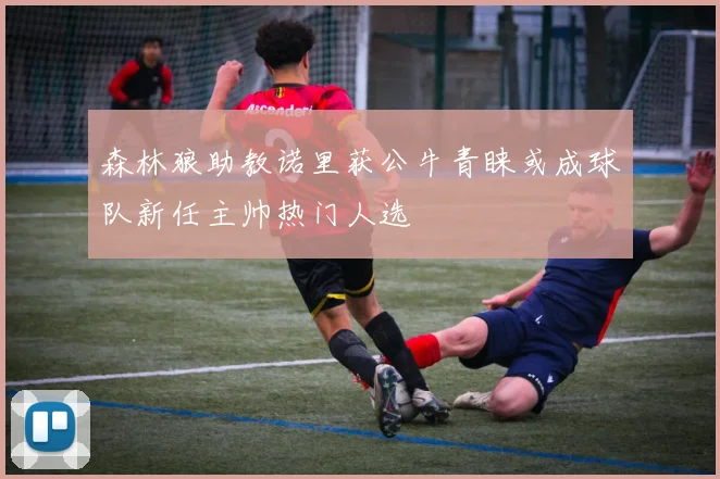 森林狼助教诺里获公牛青睐或成球队新任主帅热门人选