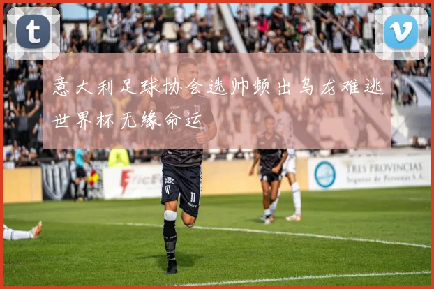 意大利足球协会选帅频出乌龙难逃世界杯无缘命运