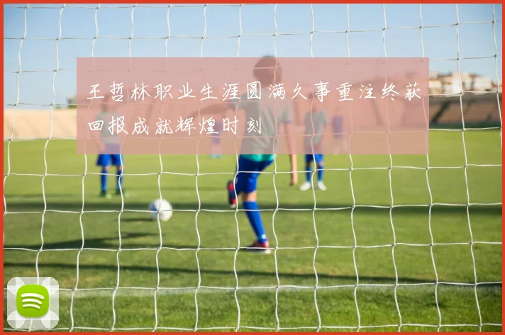 王哲林职业生涯圆满久事重注终获回报成就辉煌时刻